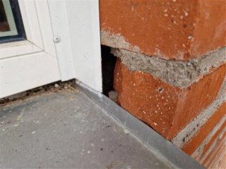 Image from job nr 1