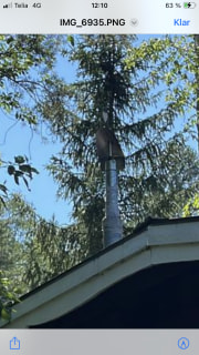 Image from job nr 1