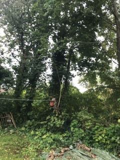 Image from job nr 1