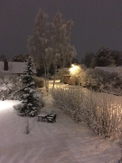 Image from job nr 1