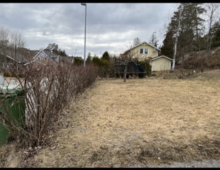 Image from job nr 2