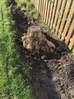 Image from job nr 1