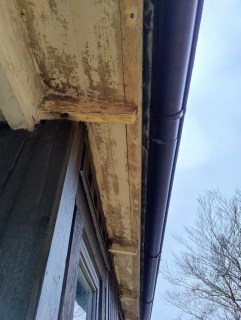 Image from job nr 1