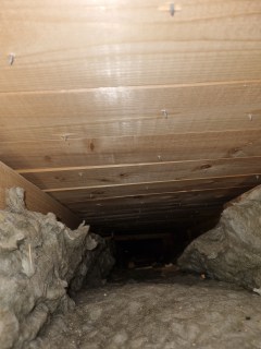 Image from job nr 3