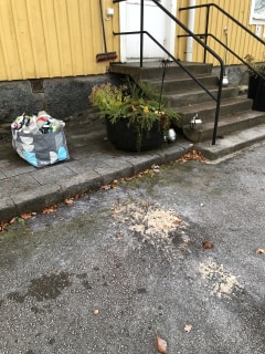 Image from job nr 2
