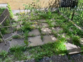 Image from job nr 1