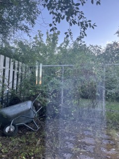 Image from job nr 1