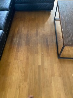 Image from job nr 2