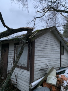 Image from job nr 1