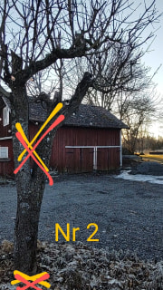 Image from job nr 1