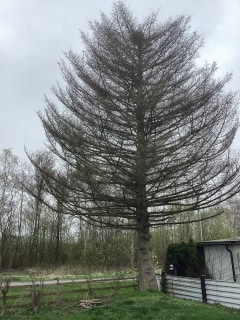 Image from job nr 1