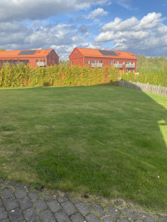 Image from job nr 1