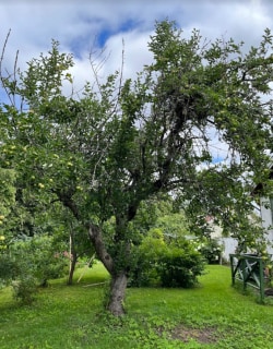 Image from job nr 2