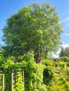 Image from job nr 3