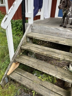 Image from job nr 1