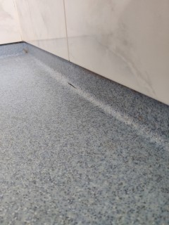 Image from job nr 1
