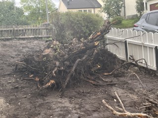 Image from job nr 3