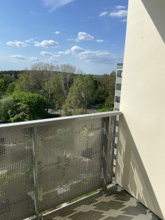 Image from job nr 1