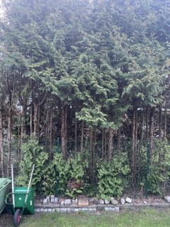 Image from job nr 1