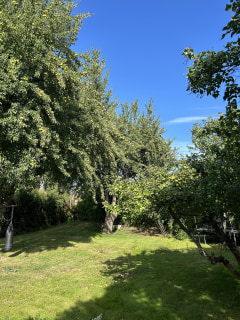 Image from job nr 1