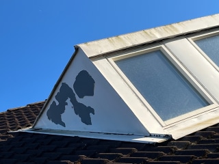 Image from job nr 3