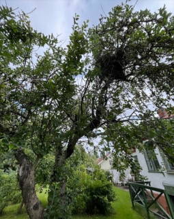 Image from job nr 3