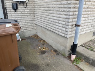 Image from job nr 1