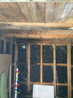 Image from job nr 1