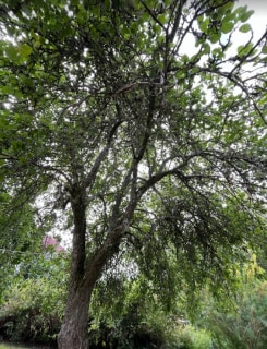 Image from job nr 1