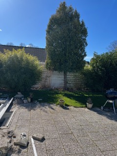 Image from job nr 1