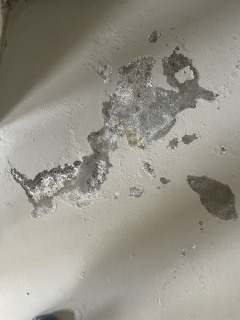 Image from job nr 1