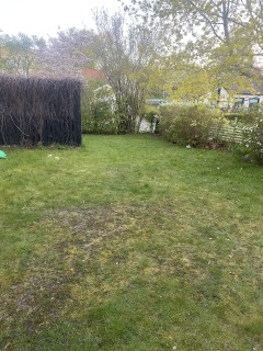 Image from job nr 2
