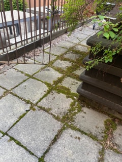 Image from job nr 1
