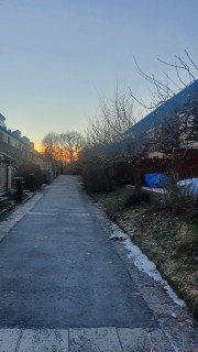 Image from job nr 1