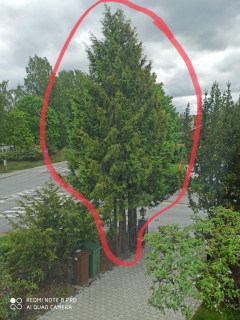 Image from job nr 1