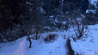 Image from job nr 1