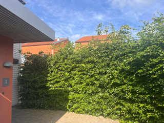 Image from job nr 3