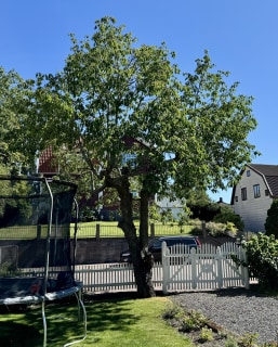 Image from job nr 2