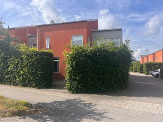 Image from job nr 1