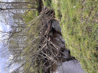 Image from job nr 1