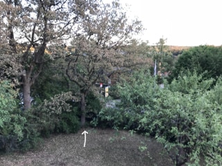 Image from job nr 1