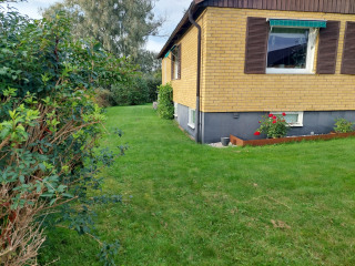 Image from job nr 1
