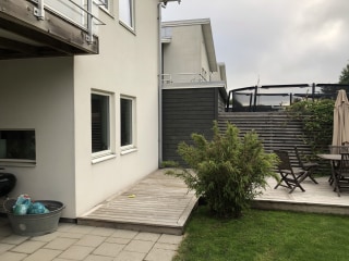 Image from job nr 1