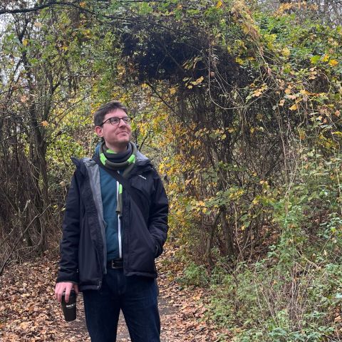 Me bundled in a scarf with strips in gray and dark and neon green, standing on a trail in autumnal woods.