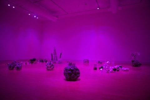 A room in a gallery bathed in purple light with various sculpture installations.