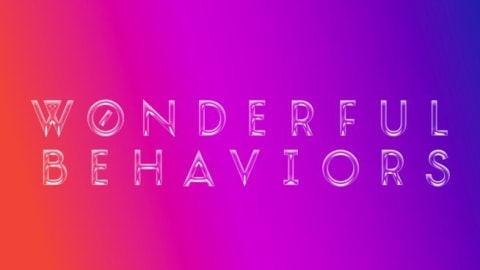 It says Wonderful Behaviors!