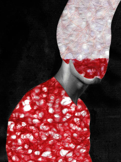 A headshot-style image of a person whose head and upper body have been obscured by a collage-like element