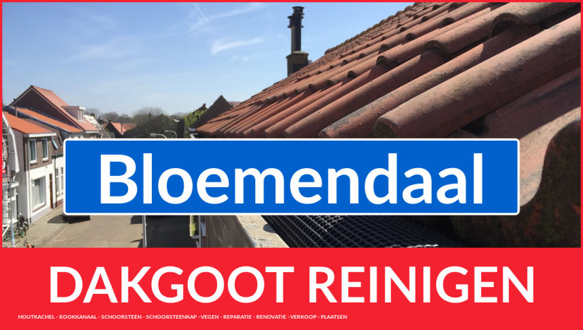 dakgoot schoonmaken Bloemendaal