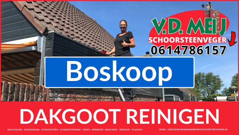 dakgoot schoonmaken Boskoop