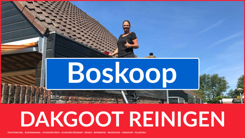 dakgoot schoonmaken Boskoop